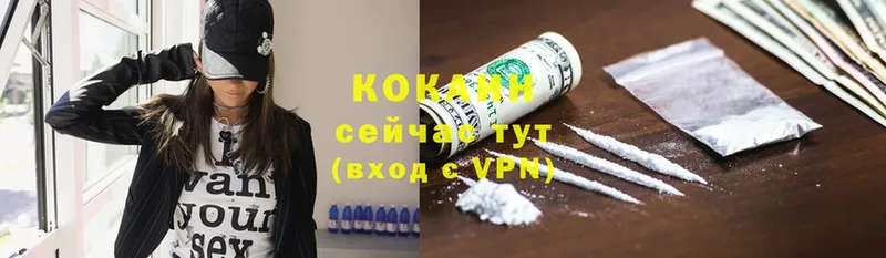 COCAIN Эквадор Покачи